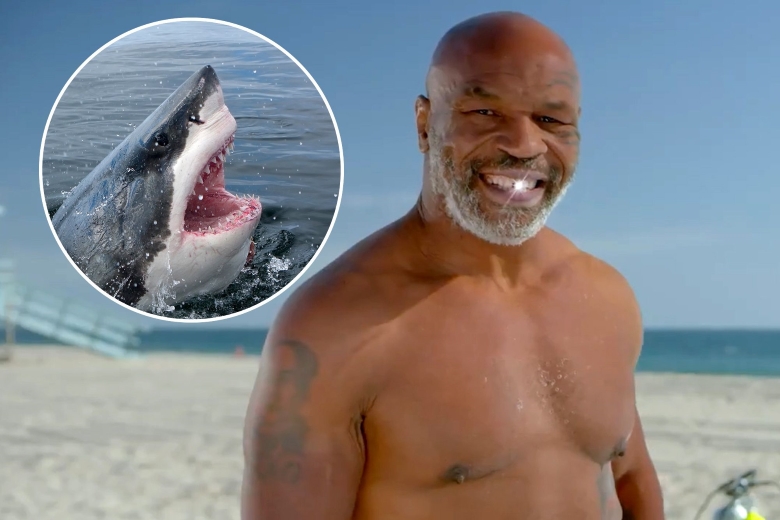 Mike Tyson: Tưởng được dự Shark Tank, ai dè đi du... cá mập ngủ - Ảnh 1.