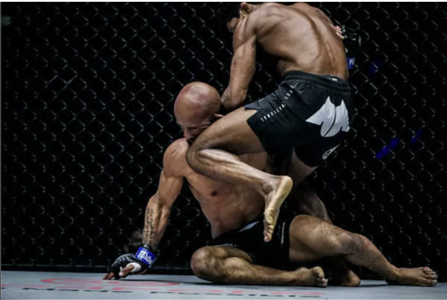 Hai nhà vô địch UFC sảy chân tại ONE: Sự khác biệt về luật làm nên tất cả? - Ảnh 2