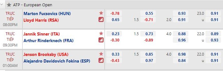 Nhận định tennis Tứ kết European Open - Sinner vs Rinderknech, 21h30 hôm nay 22/10 - Ảnh 2