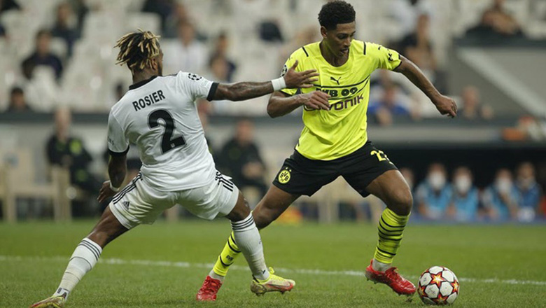 Link xem trực tiếp bóng đá Sporting Lisbon vs Dortmund, 3h00 ngày 25/11 - Ảnh 1