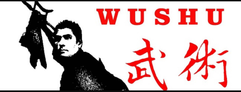 Lược sử bộ môn Wushu tại SEA Games 31 - Ảnh 1