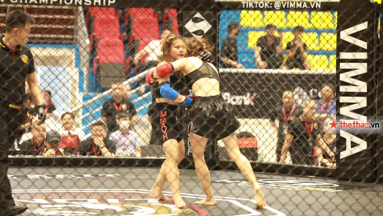 Link xem trực tiếp giải MMA Việt Nam Lion Championship - Ảnh 1