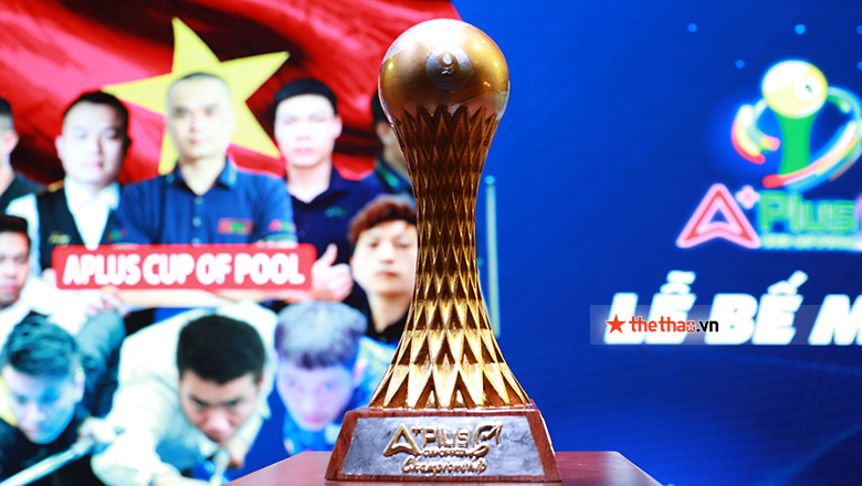 Vô địch Aplus Cup of Pool, Hoàng ‘Sao’ nhận phần thưởng là… chiếc bình gốm - Ảnh 4